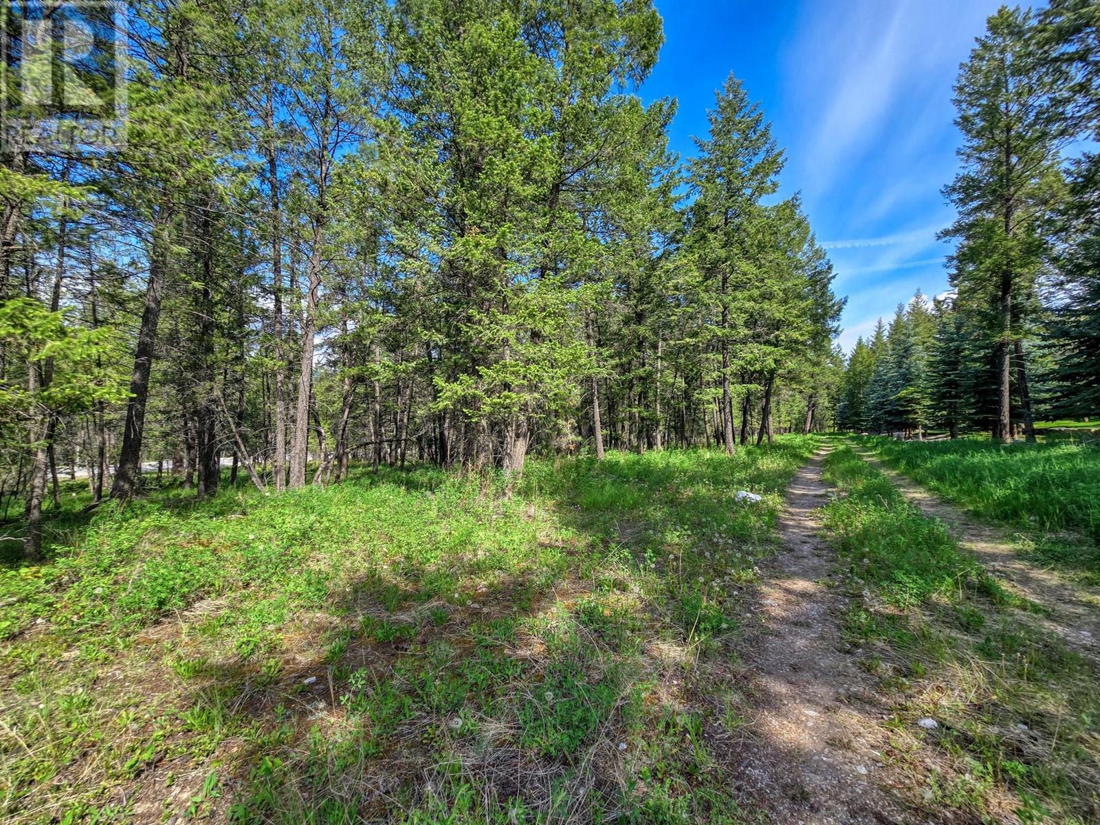 Lot 4 93/95 Highway, Fairmont Hot Springs, British Columbia  V0B 1L1 - Photo 13 - 10348998
