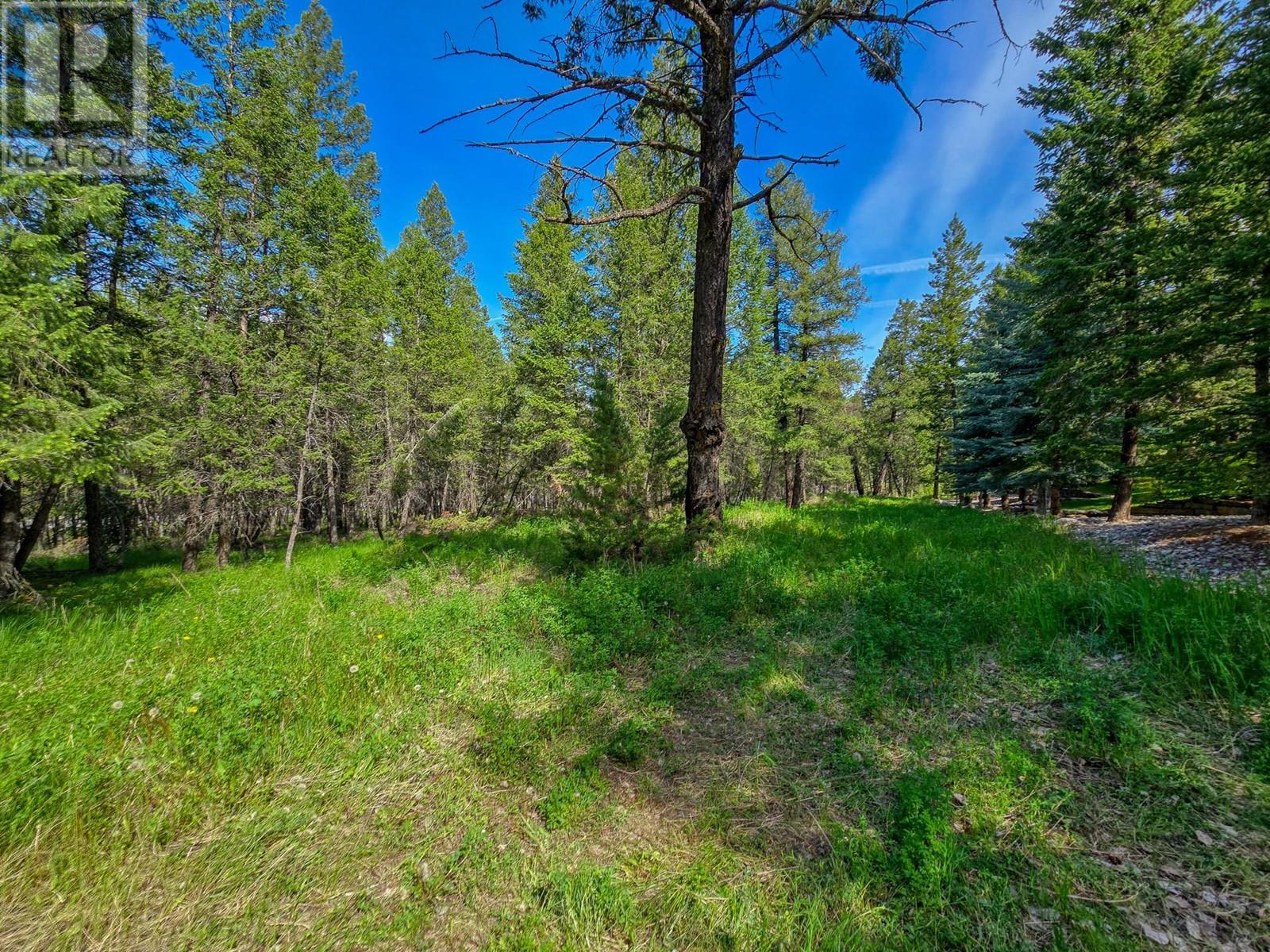 Lot 4 93/95 Highway, Fairmont Hot Springs, British Columbia  V0B 1L1 - Photo 15 - 10348998