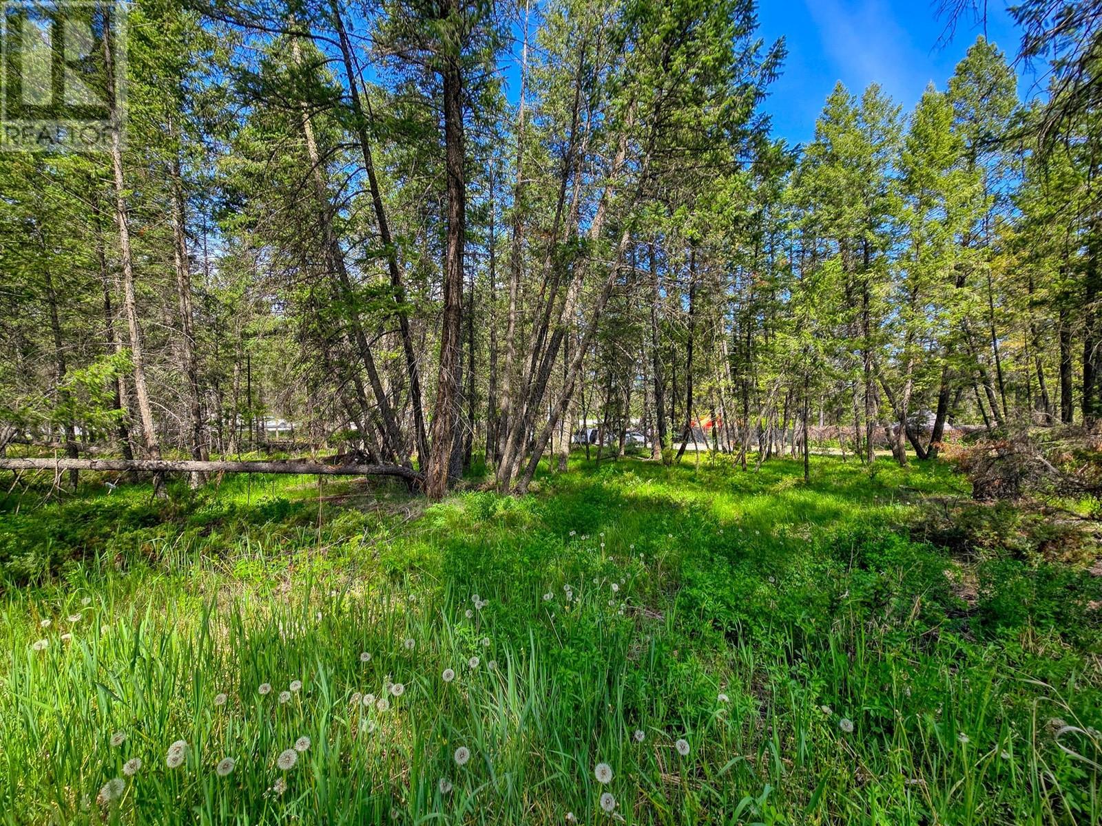 Lot 4 93/95 Highway, Fairmont Hot Springs, British Columbia  V0B 1L1 - Photo 16 - 10348998