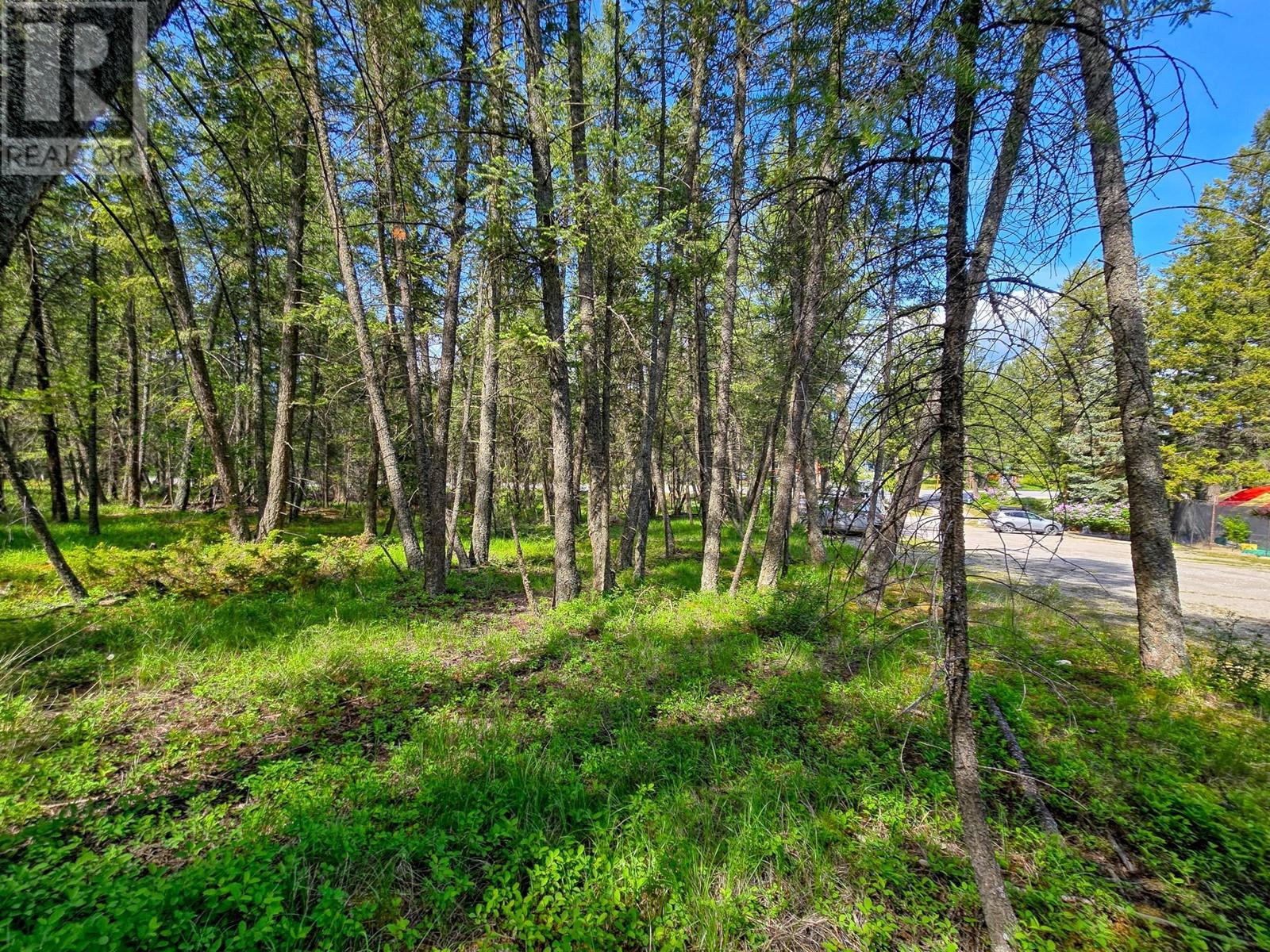 Lot 4 93/95 Highway, Fairmont Hot Springs, British Columbia  V0B 1L1 - Photo 17 - 10348998