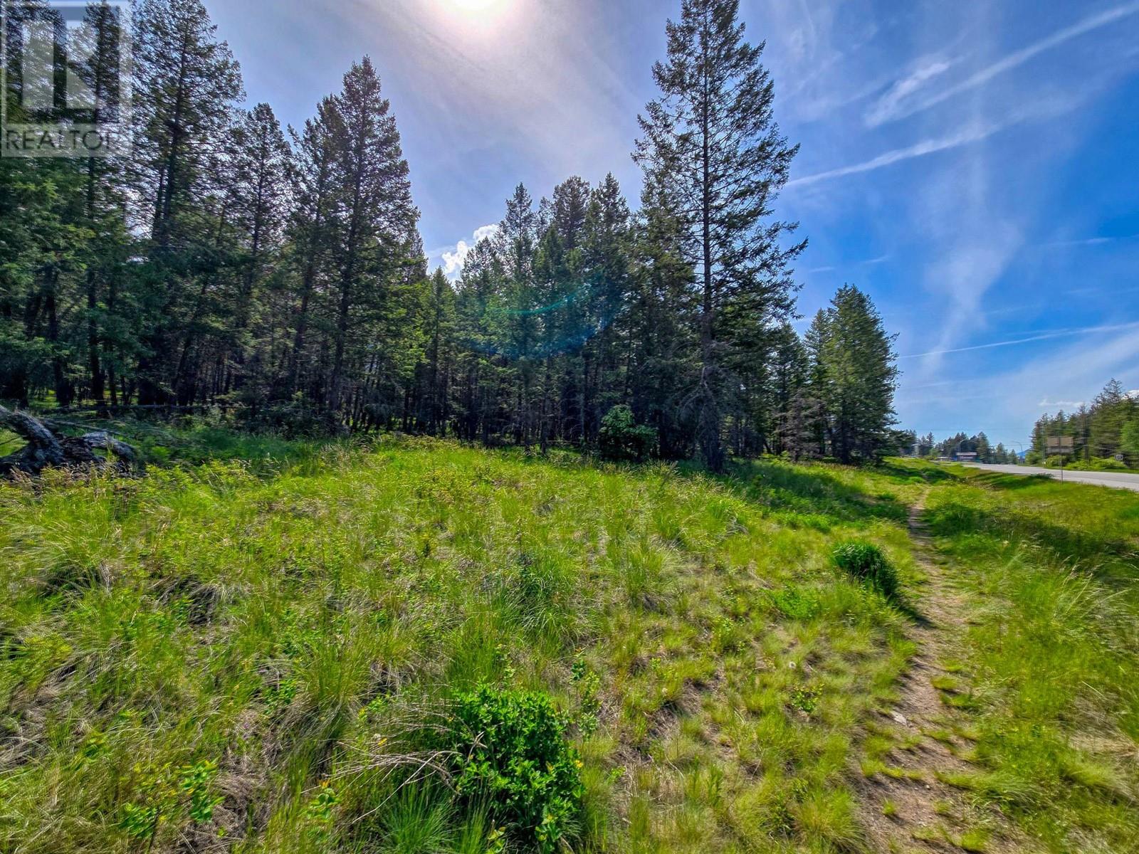 Lot 4 93/95 Highway, Fairmont Hot Springs, British Columbia  V0B 1L1 - Photo 3 - 10348998