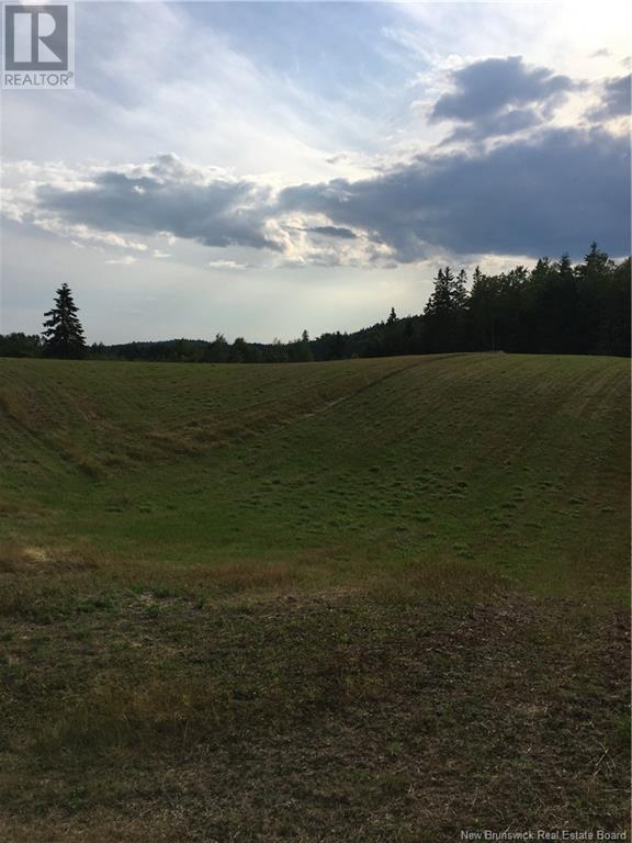Off Route 111, Jeffries Corner, New Brunswick  E4E 4H7 - Photo 6 - NB119336