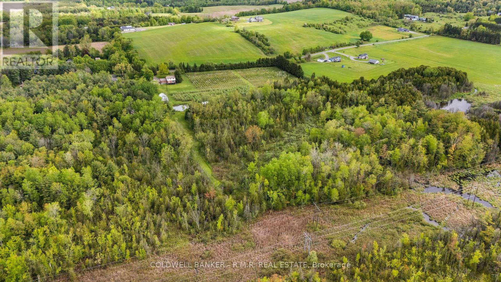 223 Turk Road, Alnwick/haldimand, Ontario  K0K 2G0 - Photo 44 - X12173535