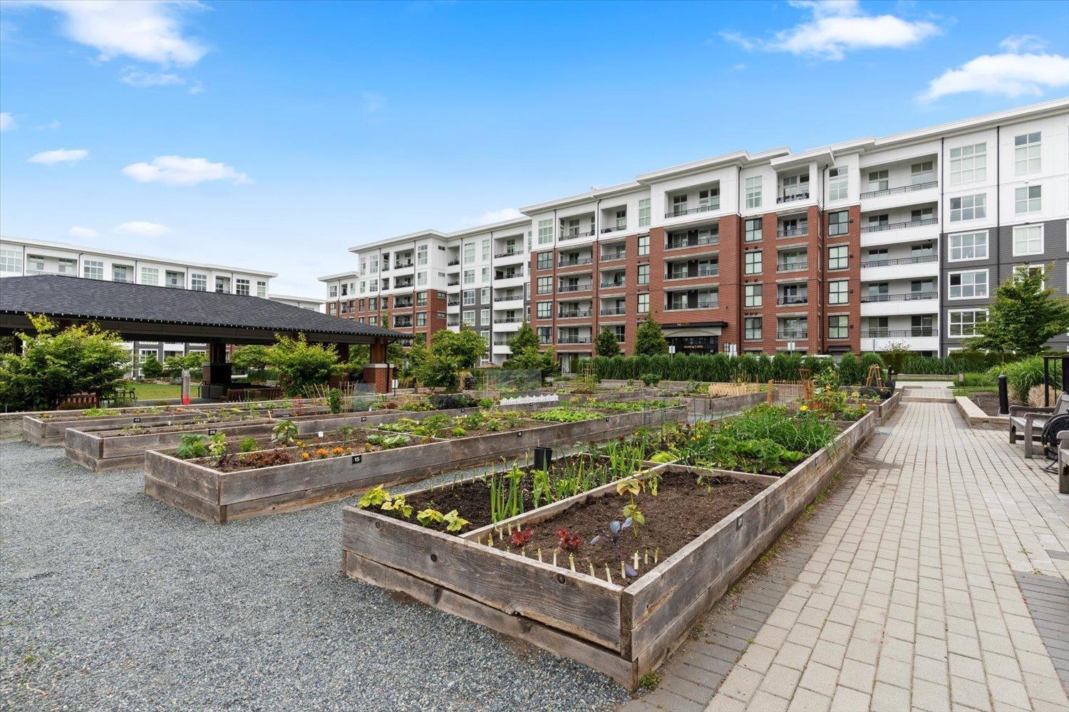 C614 8150 207 Street, Langley, British Columbia  V2Y 4J4 - Photo 25 - R3005122