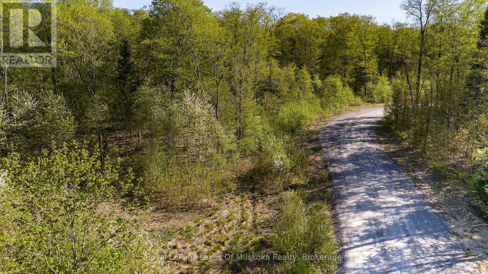 Lot 2 Riverside Drive, Kearney, Ontario  P0A 1M0 - Photo 8 - X12167162