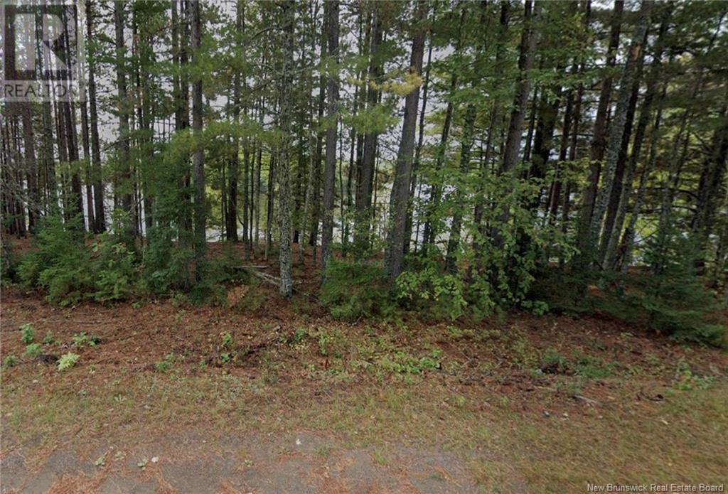 Large Waterfront Lot Route 510, Browns Yard, New Brunswick  E4T 4X2 - Photo 25 - NB117048