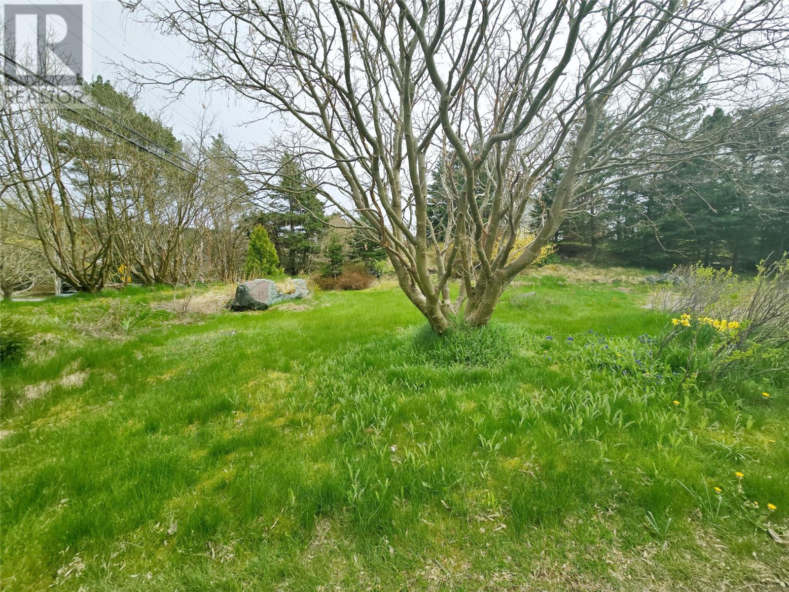 334 Conception Bay Highway, Holyrood, Newfoundland & Labrador  A0A 2R0 - Photo 28 - 1285500