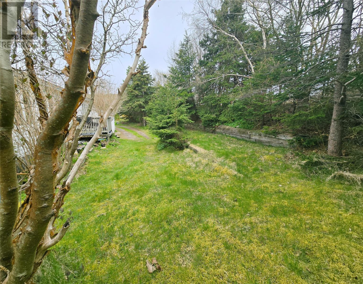 334 Conception Bay Highway, Holyrood, Newfoundland & Labrador  A0A 2R0 - Photo 31 - 1285500