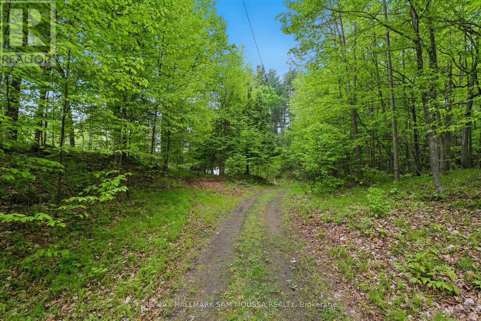 525 Miner's Point Drive, Tay Valley, Ontario  K7H 3C5 - Photo 11 - X12173732