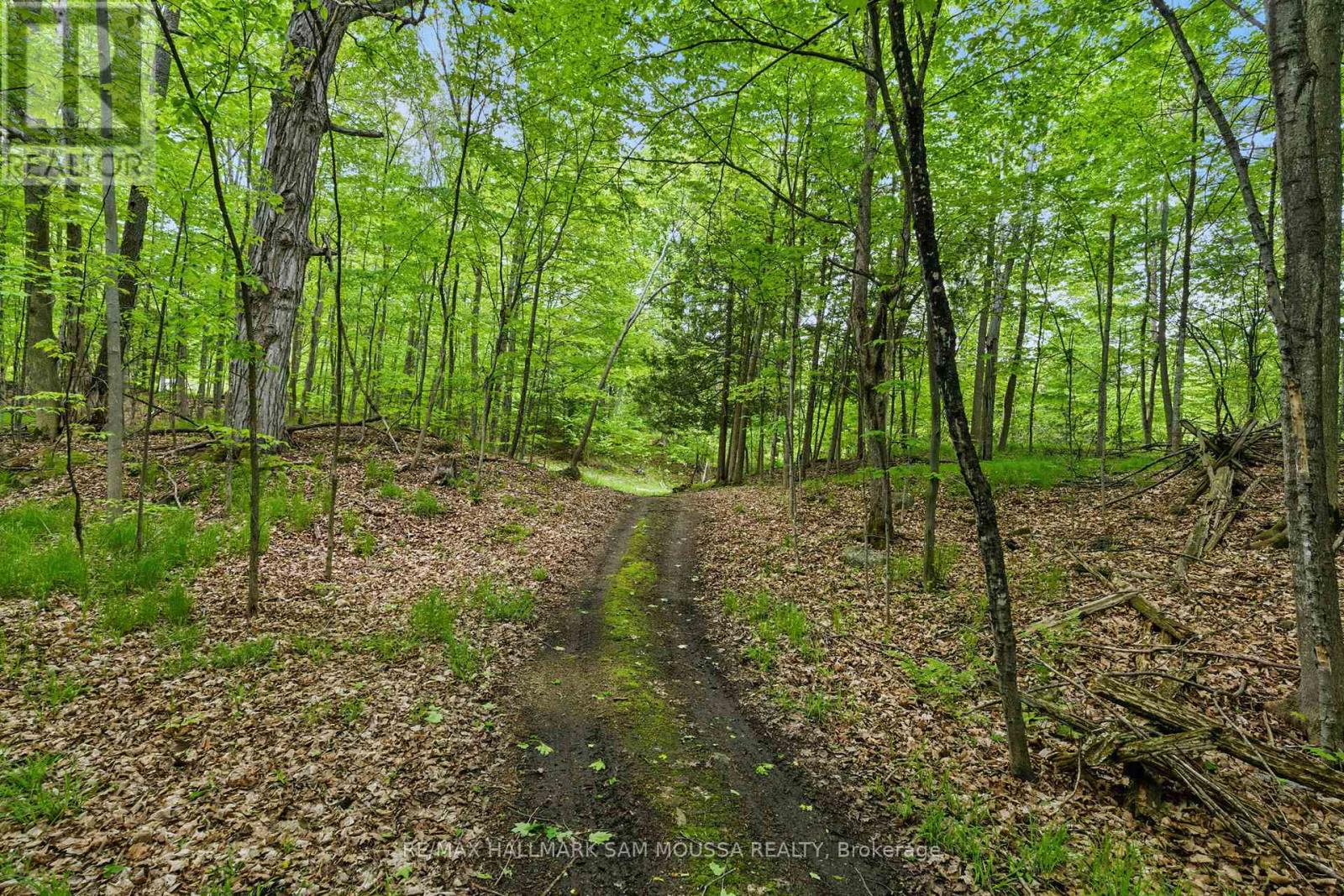 525 Miner's Point Drive, Tay Valley, Ontario  K7H 3C5 - Photo 12 - X12173732