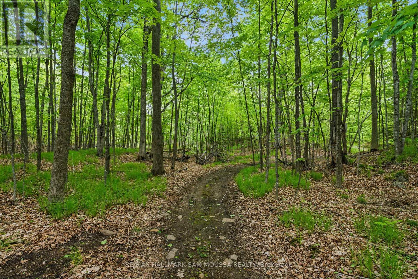 525 Miner's Point Drive, Tay Valley, Ontario  K7H 3C5 - Photo 13 - X12173732