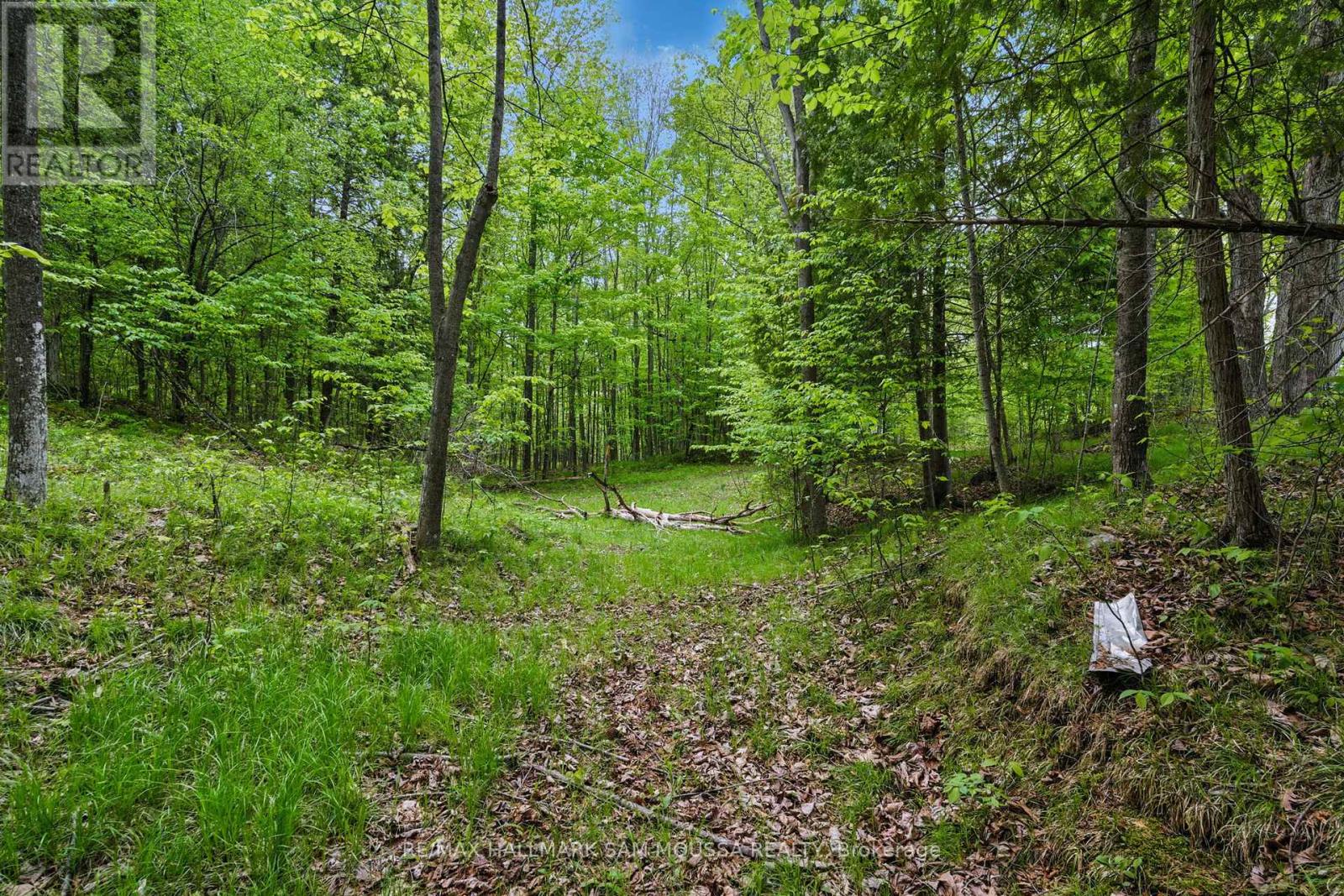 525 Miner's Point Drive, Tay Valley, Ontario  K7H 3C5 - Photo 14 - X12173732