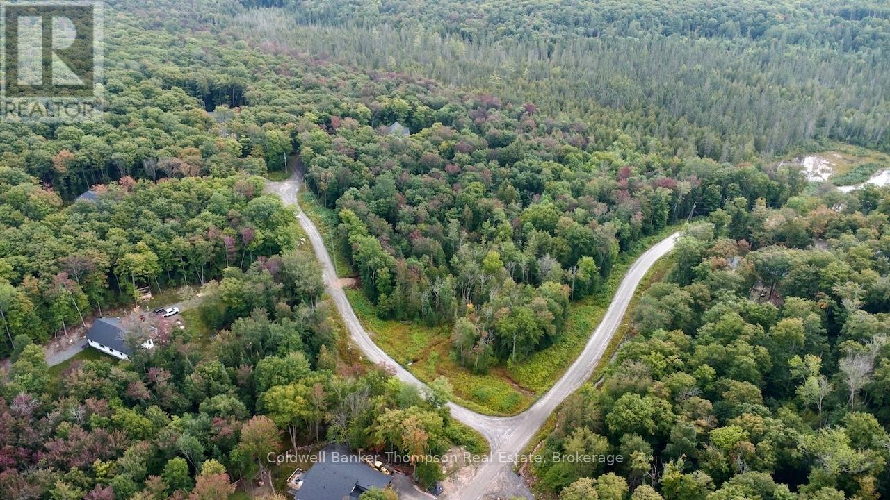 0 Granite Drive, Huntsville, Ontario  P1H 2N5 - Photo 3 - X12137198
