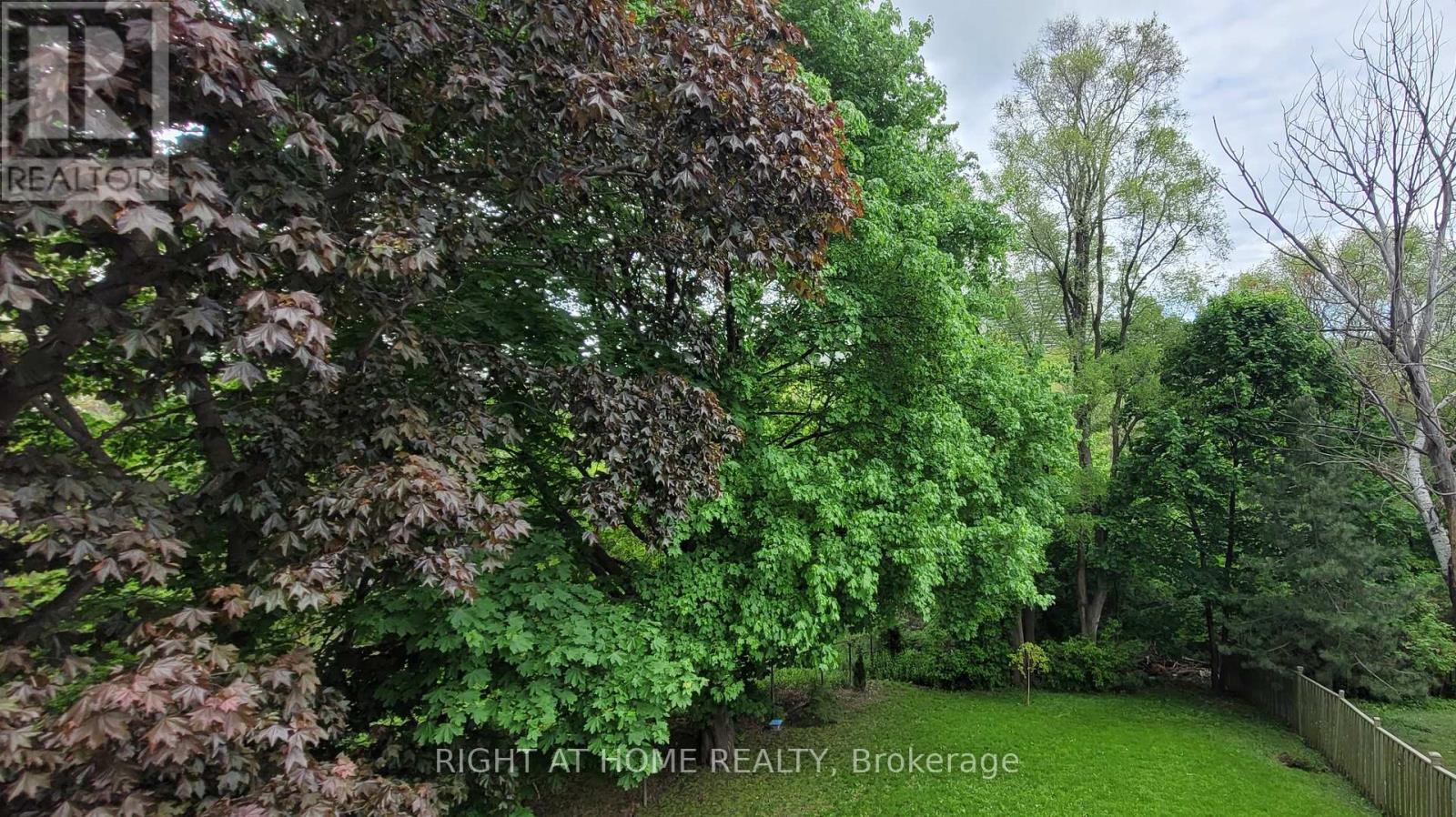 475 Donlands Avenue, Toronto (East York), Ontario  M4J 3S4 - Photo 44 - E12171414