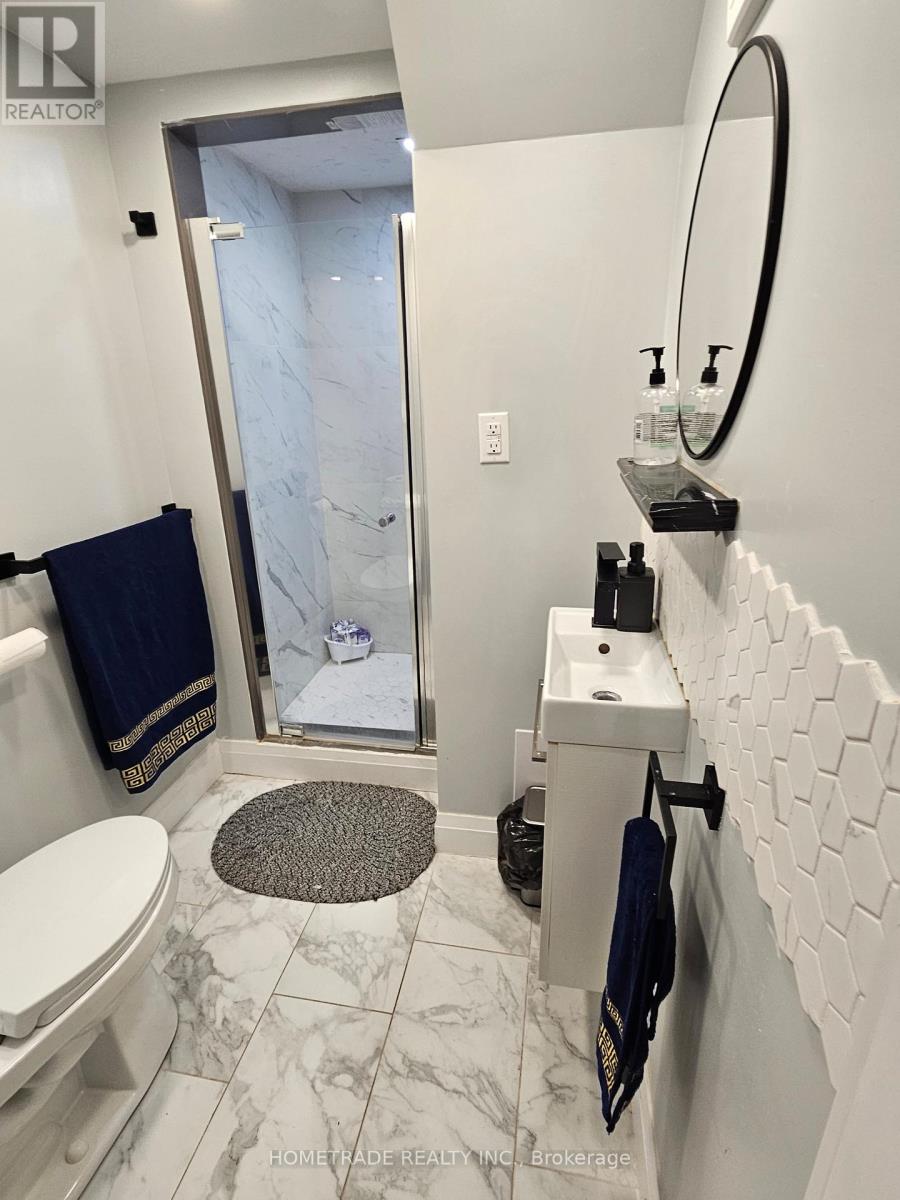 Basement - 1441 Bassingthwaite Court, Innisfil, Ontario  L9S 0E1 - Photo 9 - N12173702