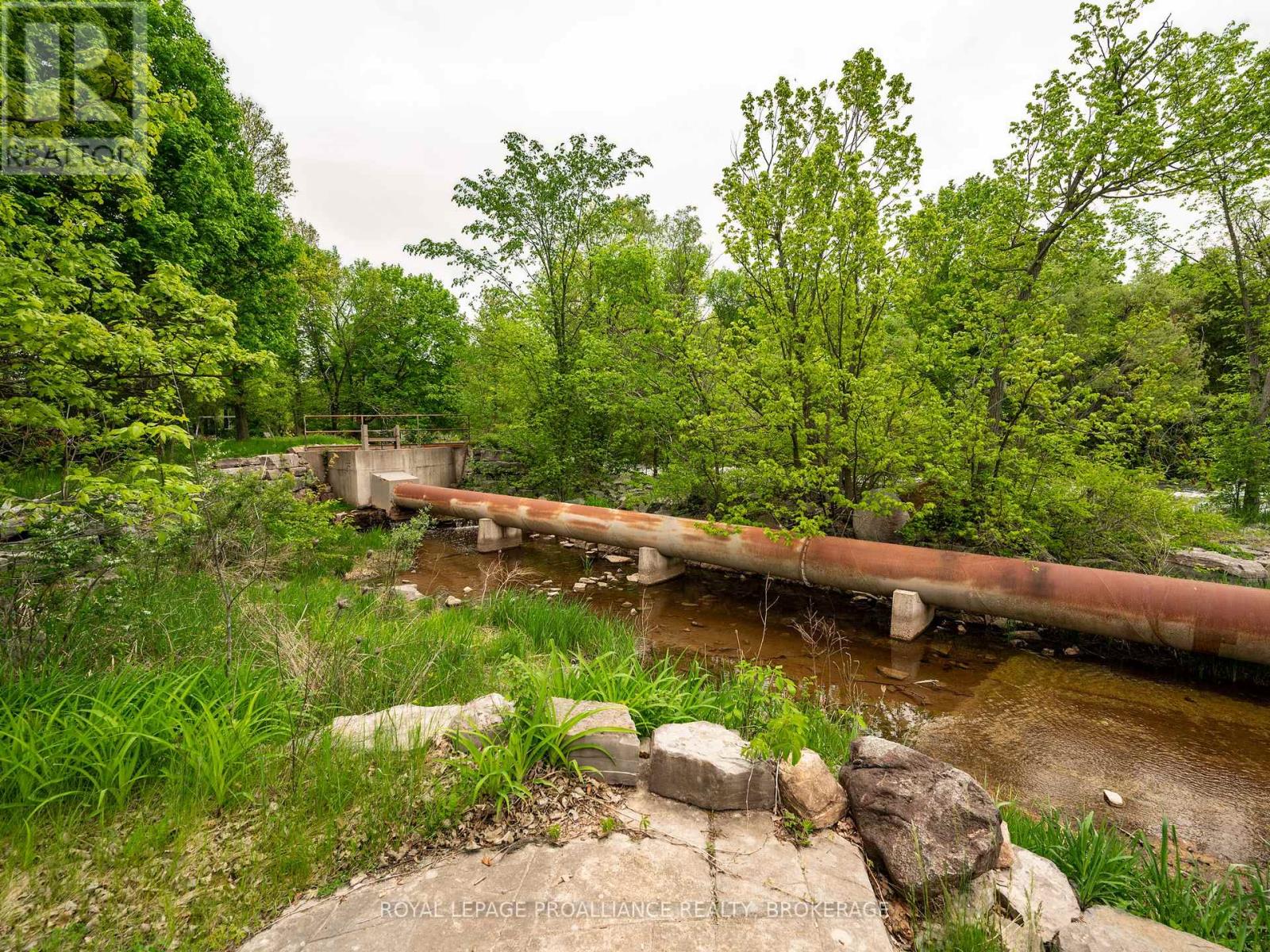 46 Concession Street S, Stone Mills, Ontario  K0K 3G0 - Photo 43 - X12173775