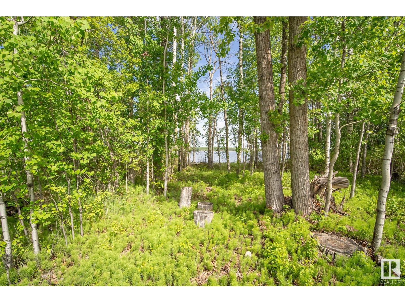 #222 53509 Rge Road 60, Rural Parkland County, Alberta  T7Y 0B5 - Photo 27 - E4437477