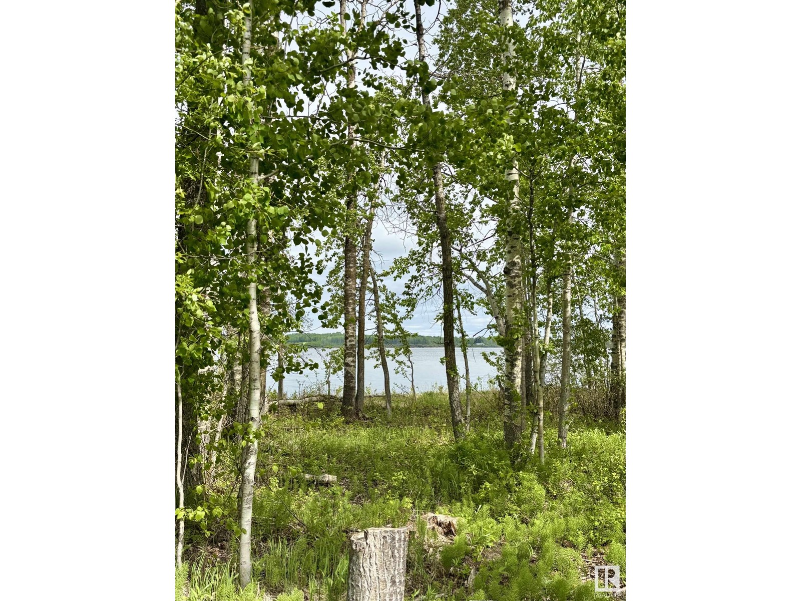 #222 53509 Rge Road 60, Rural Parkland County, Alberta  T7Y 0B5 - Photo 26 - E4437477