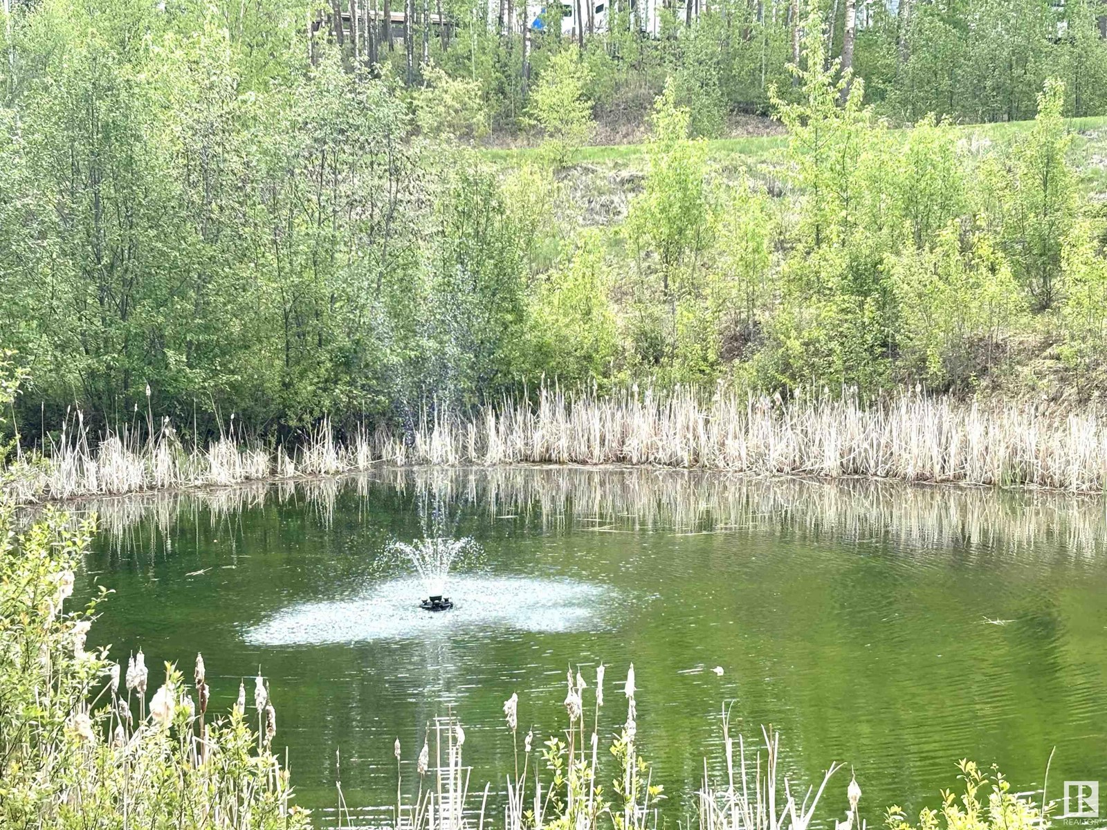 #222 53509 Rge Road 60, Rural Parkland County, Alberta  T7Y 0B5 - Photo 5 - E4437477