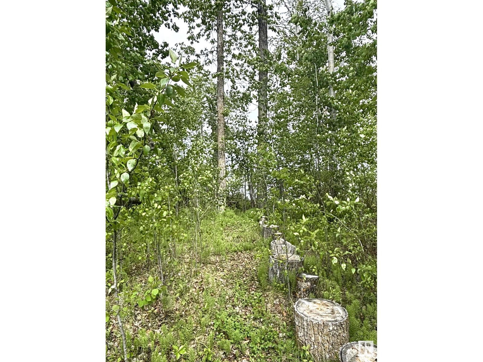 #222 53509 Rge Road 60, Rural Parkland County, Alberta  T7Y 0B5 - Photo 25 - E4437477