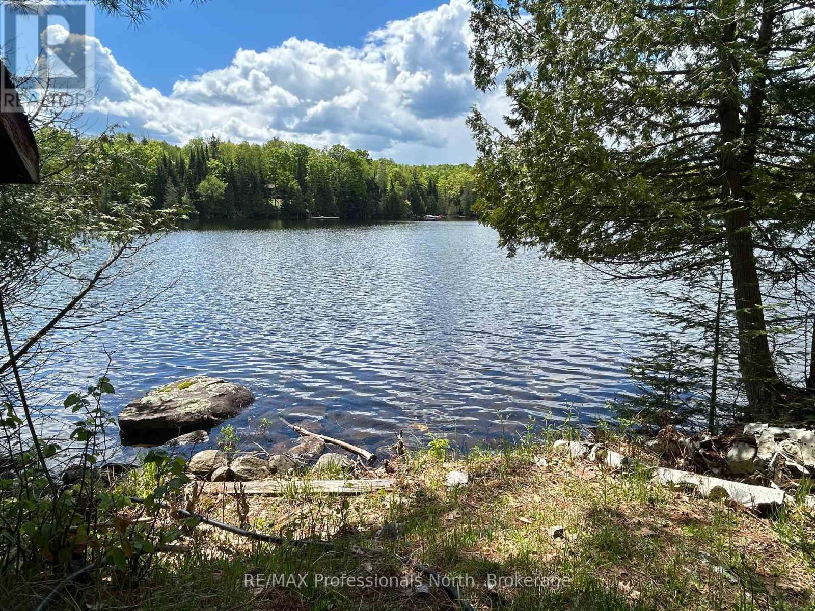 1202 Poverty Bay Trail, Minden Hills, Ontario  K0M 2K0 - Photo 4 - X12083783