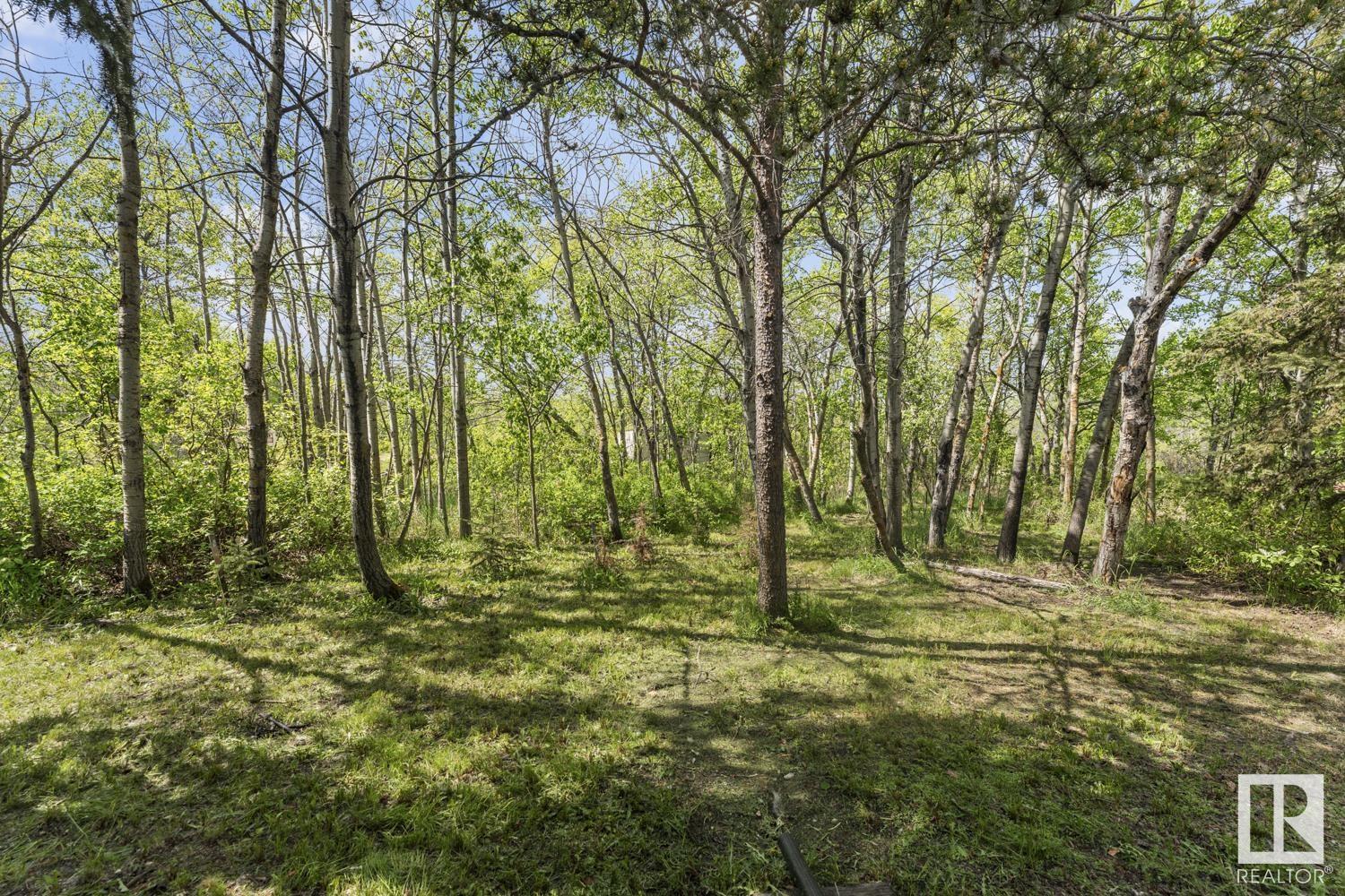 #36 45522 Twp Rd 593a, Rural Bonnyville M.d., Alberta  T9N 2J6 - Photo 21 - E4438575