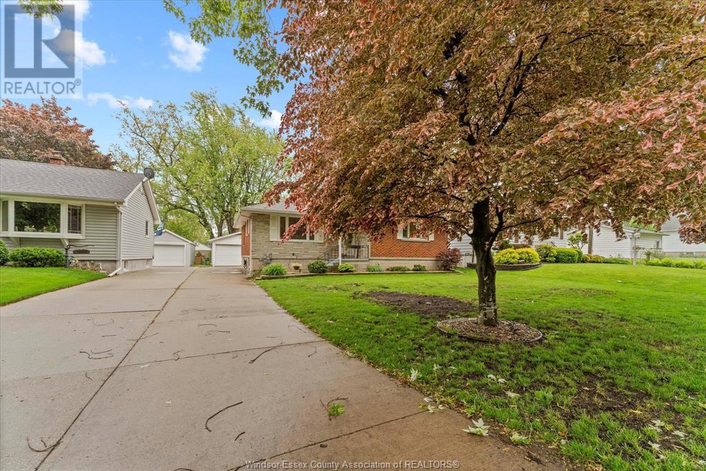 Property at 46 GRACE AVENUE image 4
