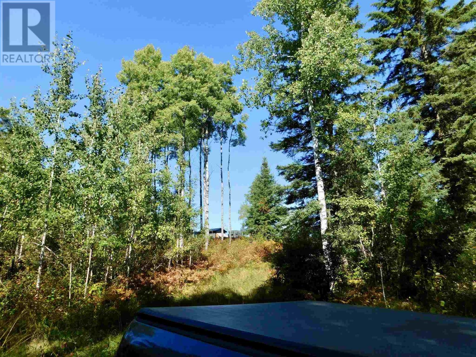 0 Chavall Road North, Machin, Ontario  P8N 2E0 - Photo 23 - TB232841