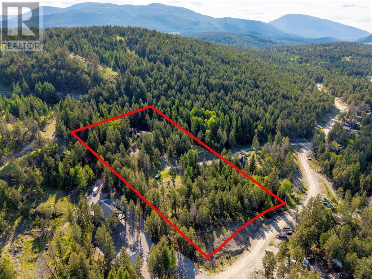 9942 Osprey Landing Drive, Wardner, British Columbia  V0B 2J0 - Photo 66 - 10349340