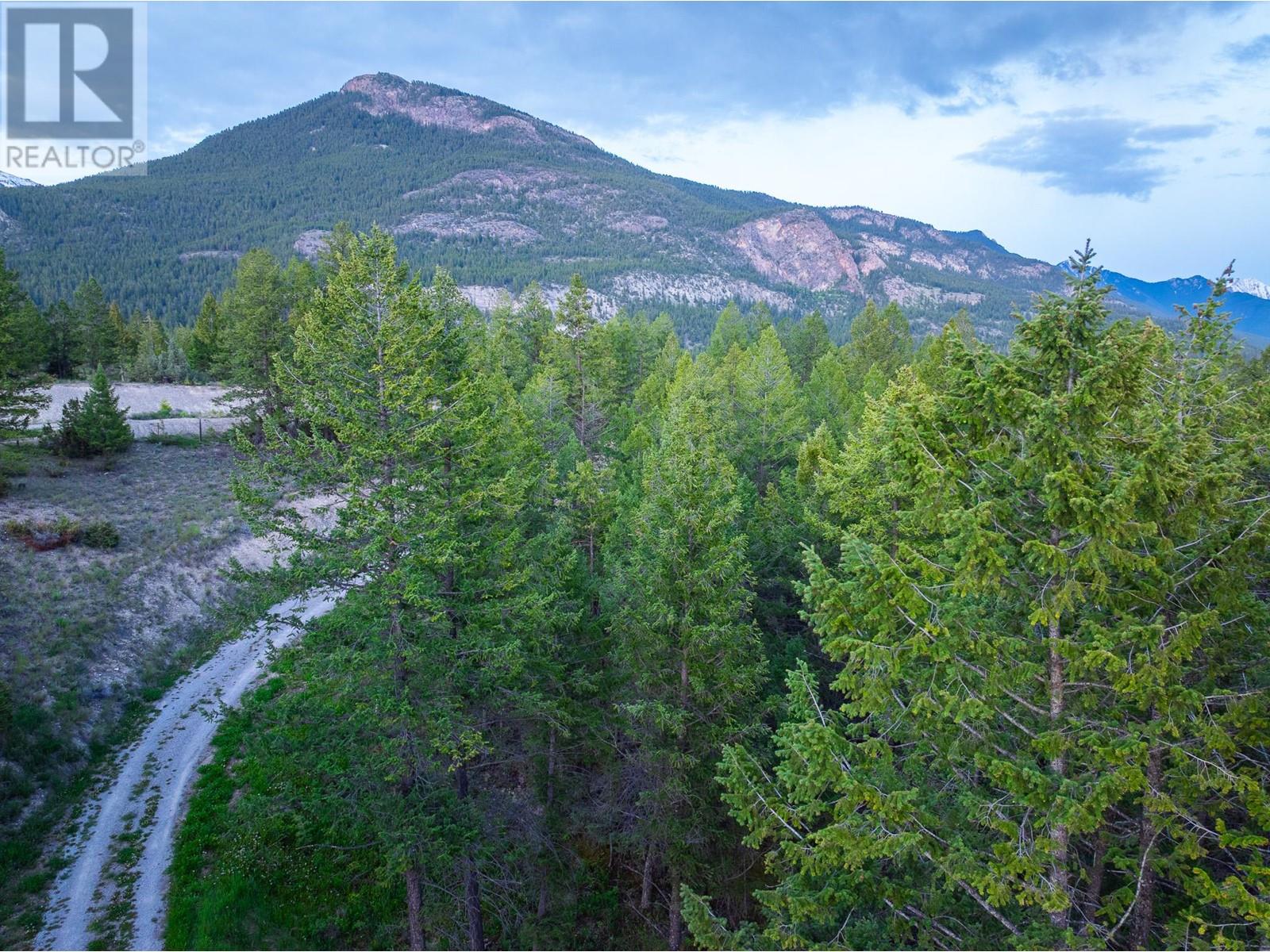 3 Swansea Road, Invermere, British Columbia  V0B 2L0 - Photo 45 - 10349245