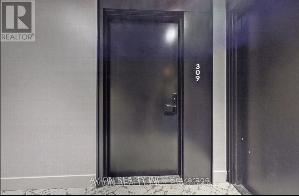 309 - 270 Dufferin Street, Toronto, Ontario  M6K 0H8 - Photo 2 - W12173991