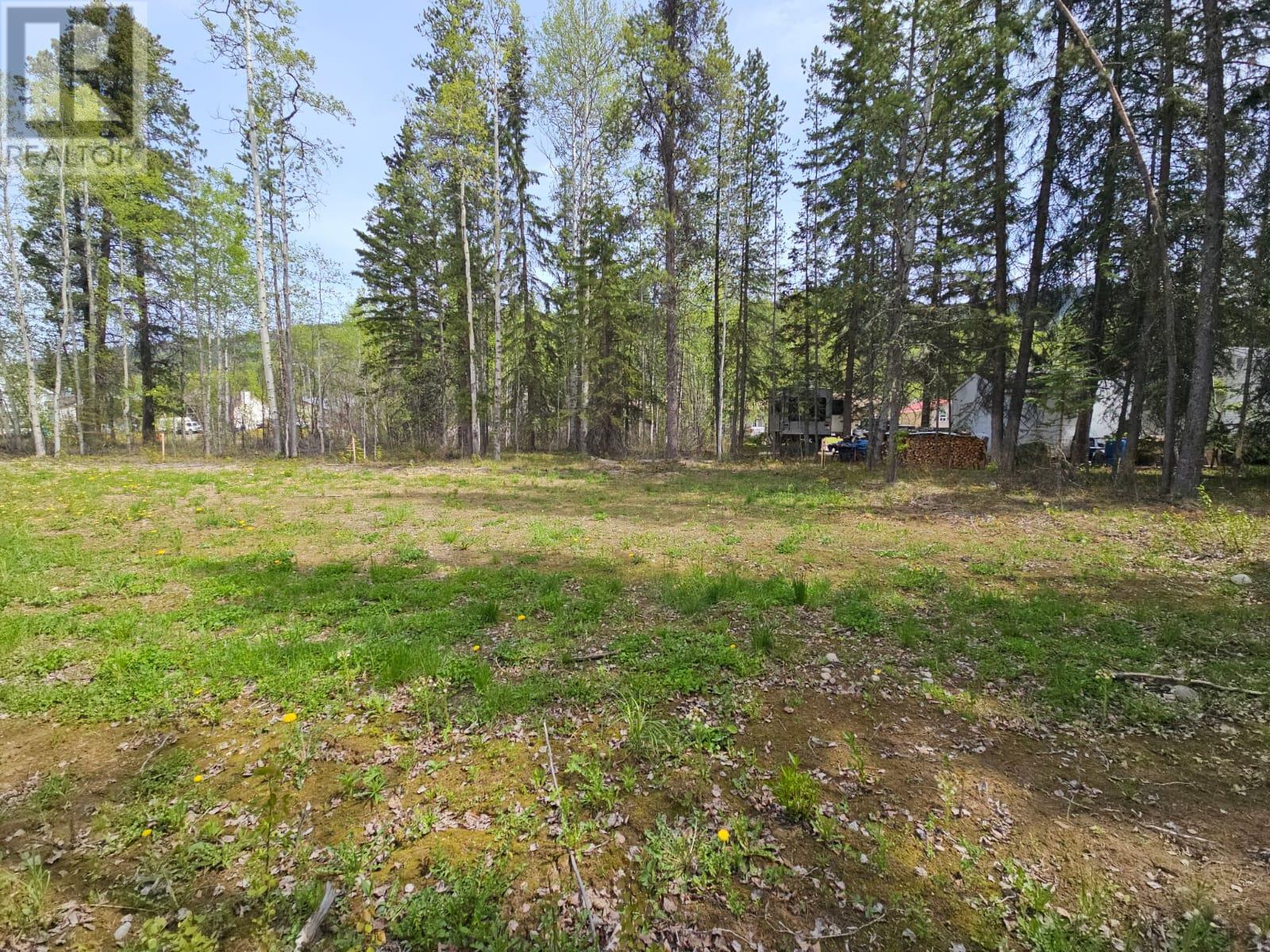 115 Red Willow Ave, Tumbler Ridge, British Columbia