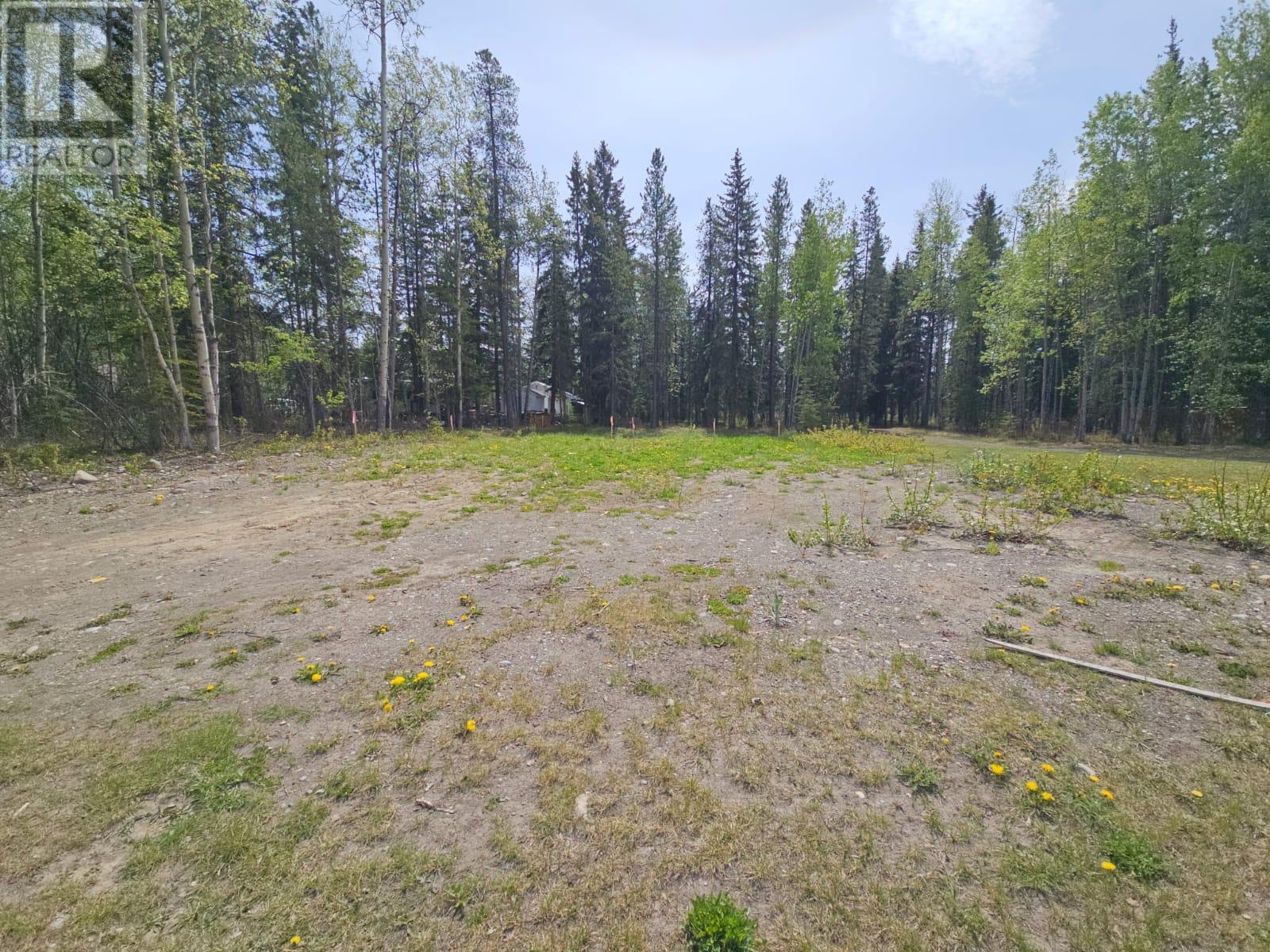 115 Red Willow Ave, Tumbler Ridge, BC V0C2W0