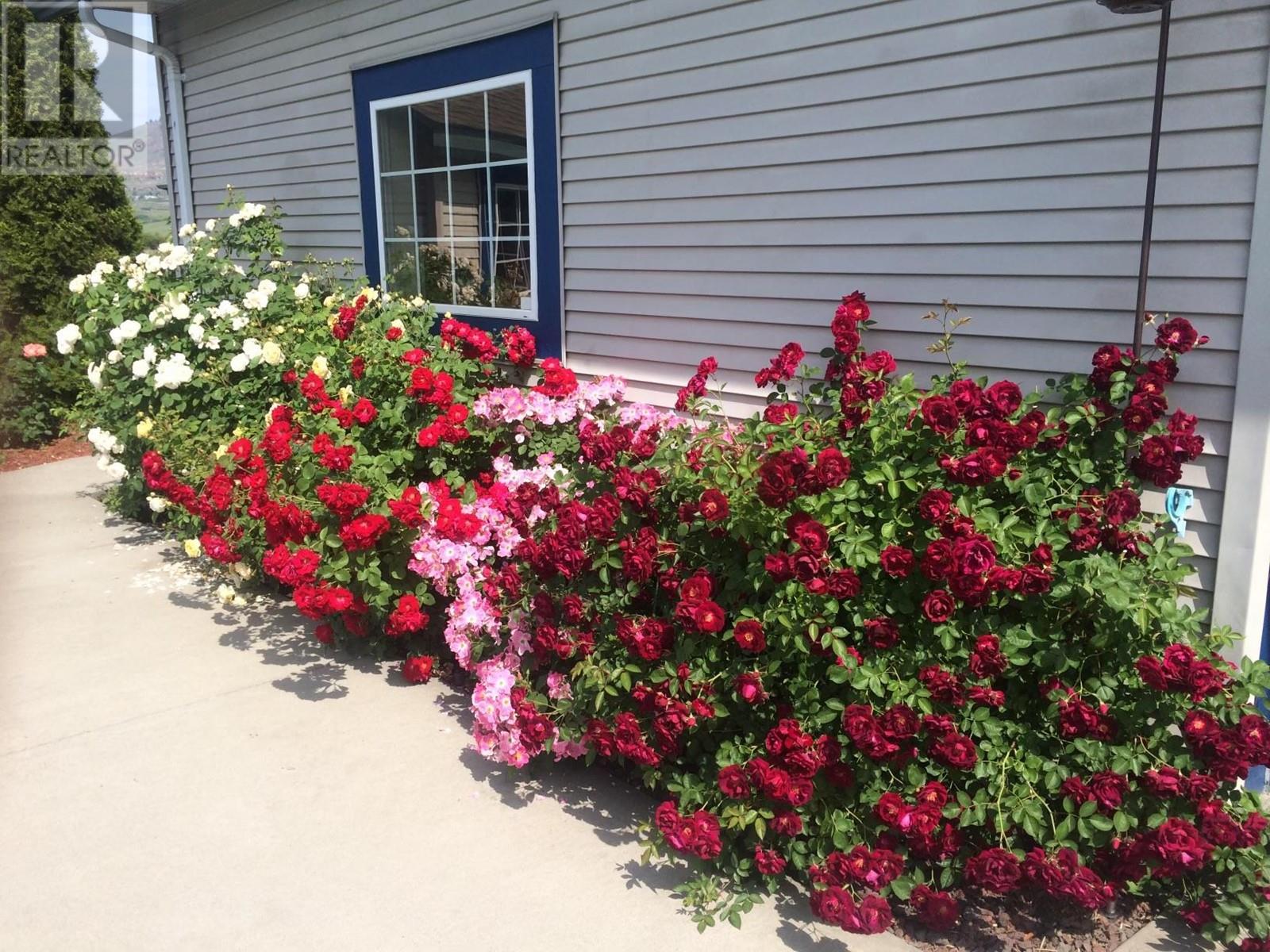 Property at 2205 Canary Place image 4