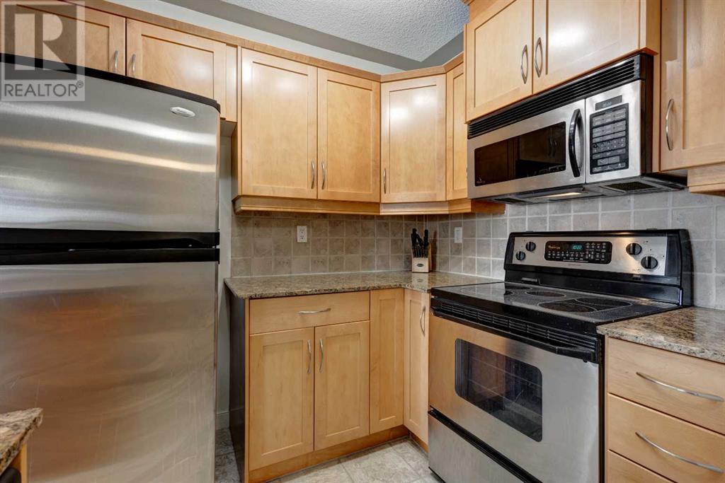 307, 2233 34 Avenue Sw, Calgary, Alberta  T2T 6N2 - Photo 10 - A2196245