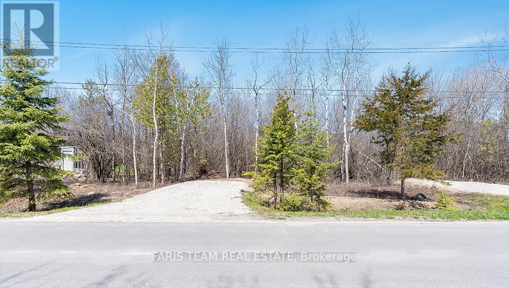 27 Braeside Street, Collingwood, Ontario  L9Y 0X2 - Photo 3 - S12112251