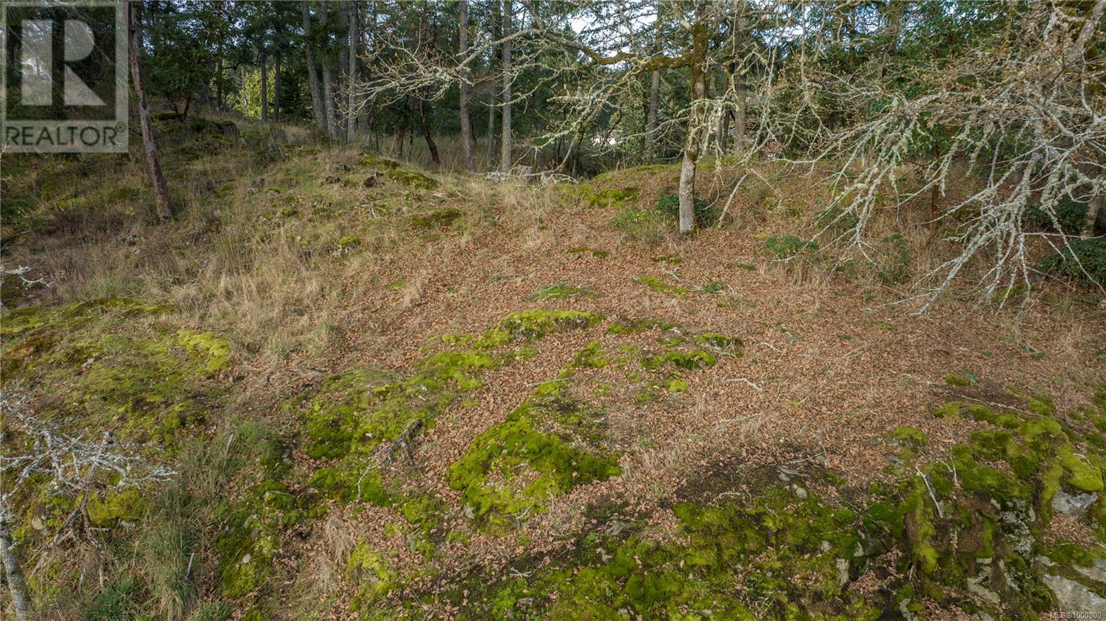 3145 Marion Way, Nanaimo, British Columbia  V9T 3Z8 - Photo 6 - 1000800