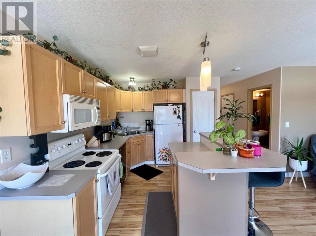 60 Adamson Avenue, Red Deer, Alberta  T4R 3L2 - Photo 4 - A2201062