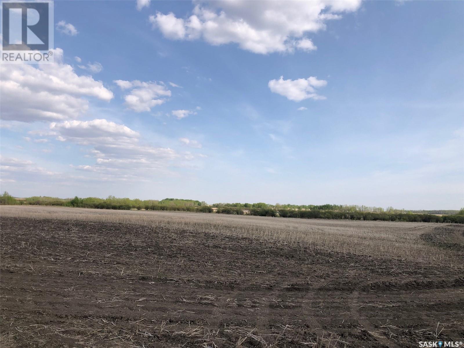 Flower Farm, Sasman Rm No. 336, Saskatchewan  S0A 2H0 - Photo 12 - SK007194