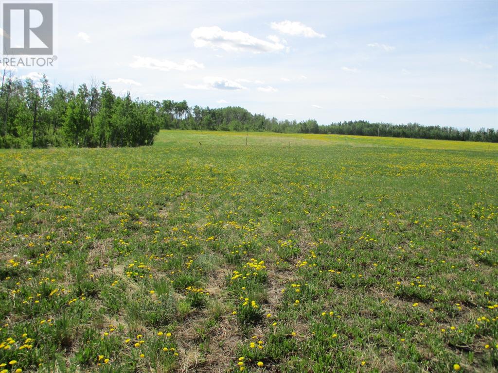 15231004 Twp Rd 920, Rural Northern Lights, Alberta  T0H 2M0 - Photo 7 - A1115652