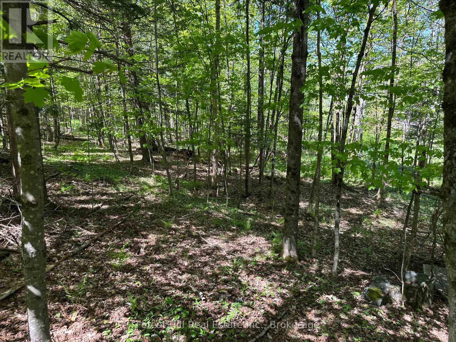 55 Hilltop Road, Parry Sound Remote Area, Ontario  P0H 1A0 - Photo 21 - X12174413