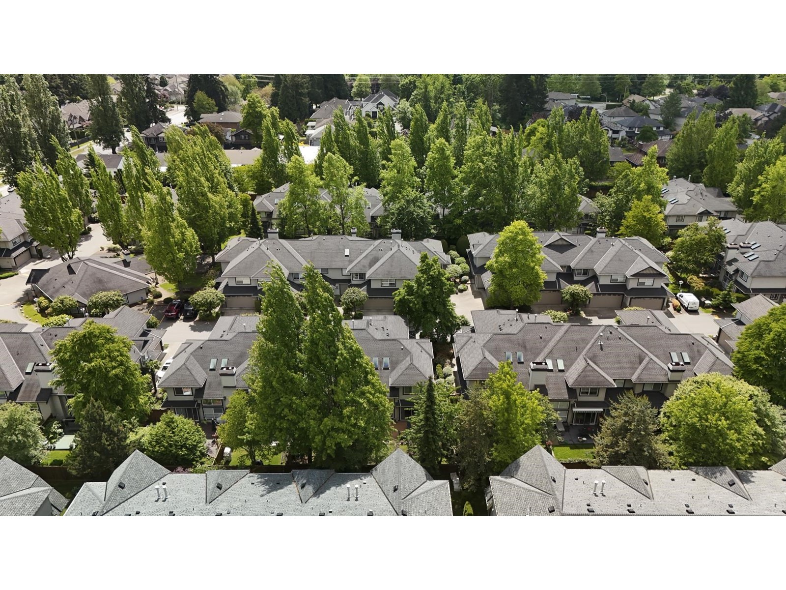 16 8111 160 Street, Surrey, British Columbia  V4N 0V4 - Photo 38 - R3006542