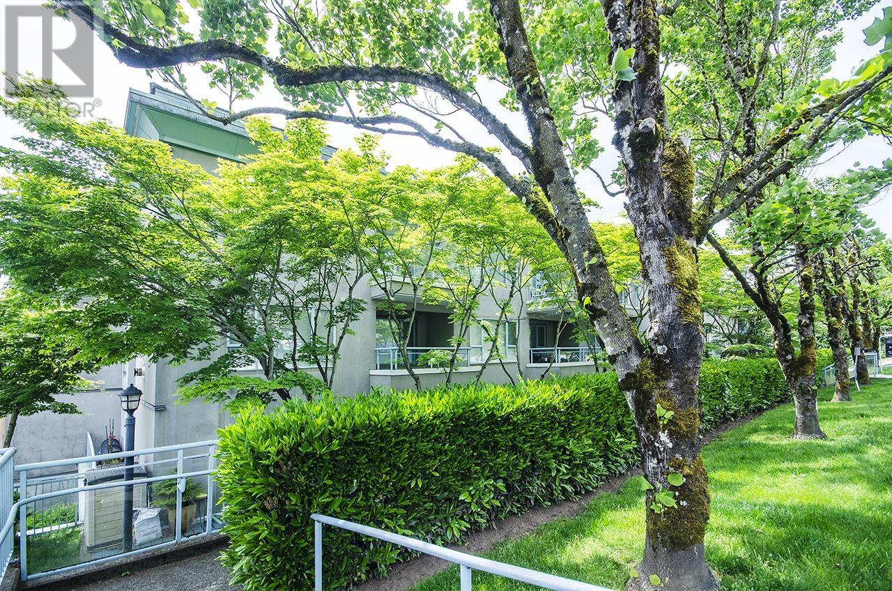 206 1085 W 17th Street, North Vancouver, British Columbia  V7P 3R3 - Photo 5 - R3007194