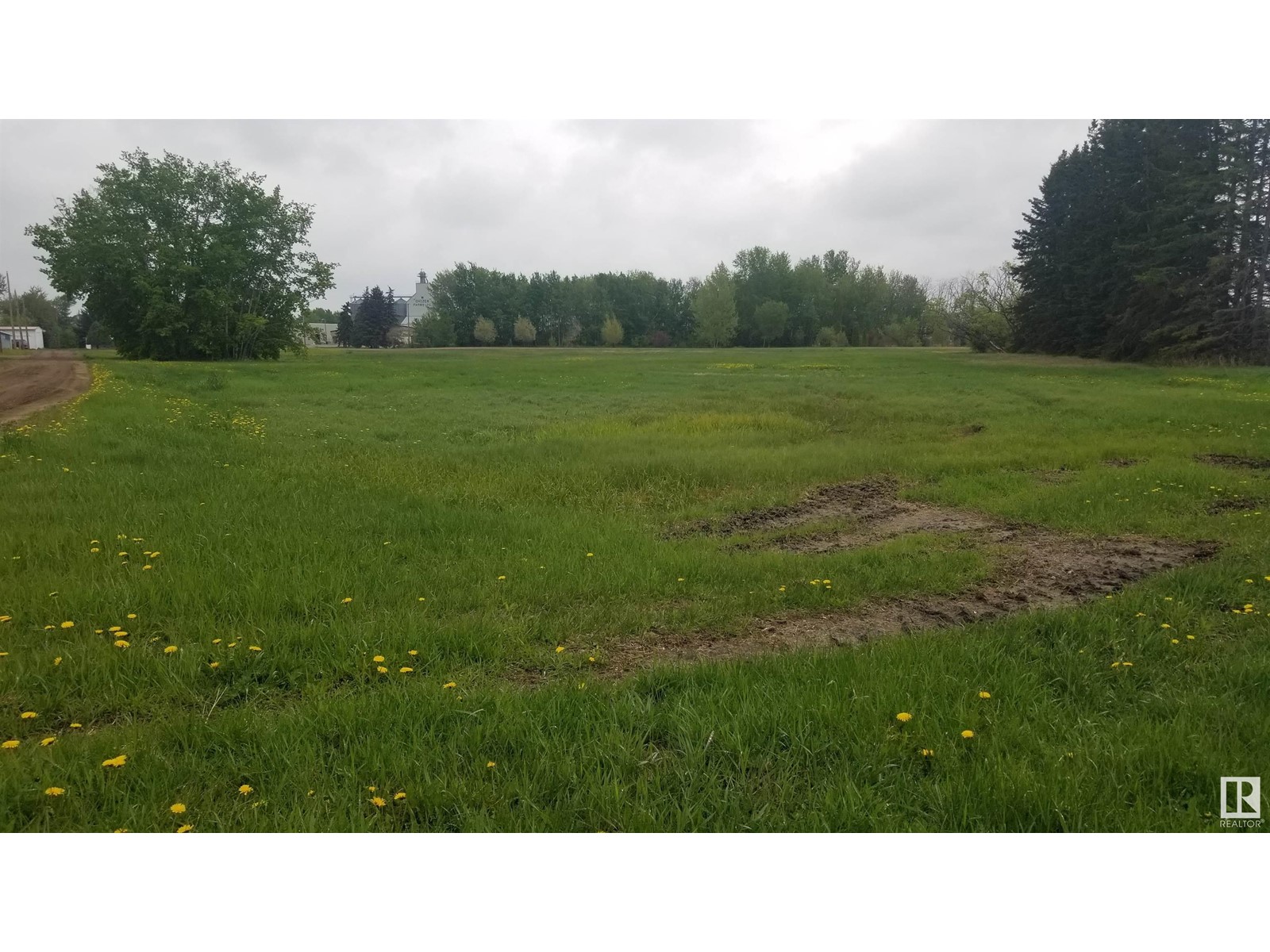 221 3rd St, Thorhild, Alberta  T0A 3J0 - Photo 3 - E4422274