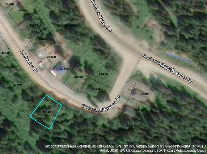 20449 Edelweiss Drive, Mission, British Columbia  V0M 1A1 - Photo 1 - R3007267