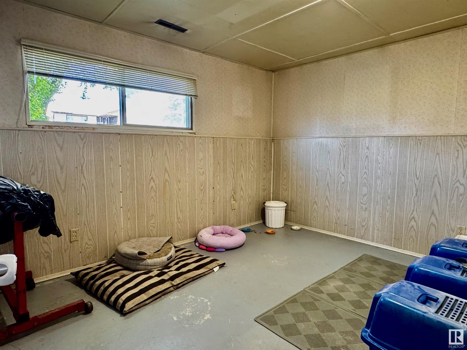 4824 55 Ave, Drayton Valley, Alberta  T7A 1A5 - Photo 19 - E4438619