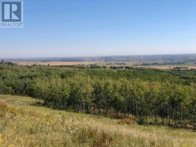 64243 306 Avenue W, Rural Foothills County, Alberta  T1S 1A2 - Photo 43 - A2221803