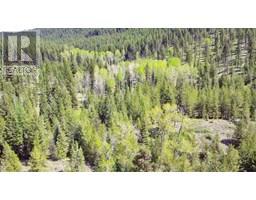 2610 Bubar Creek Road, rock creek, British Columbia