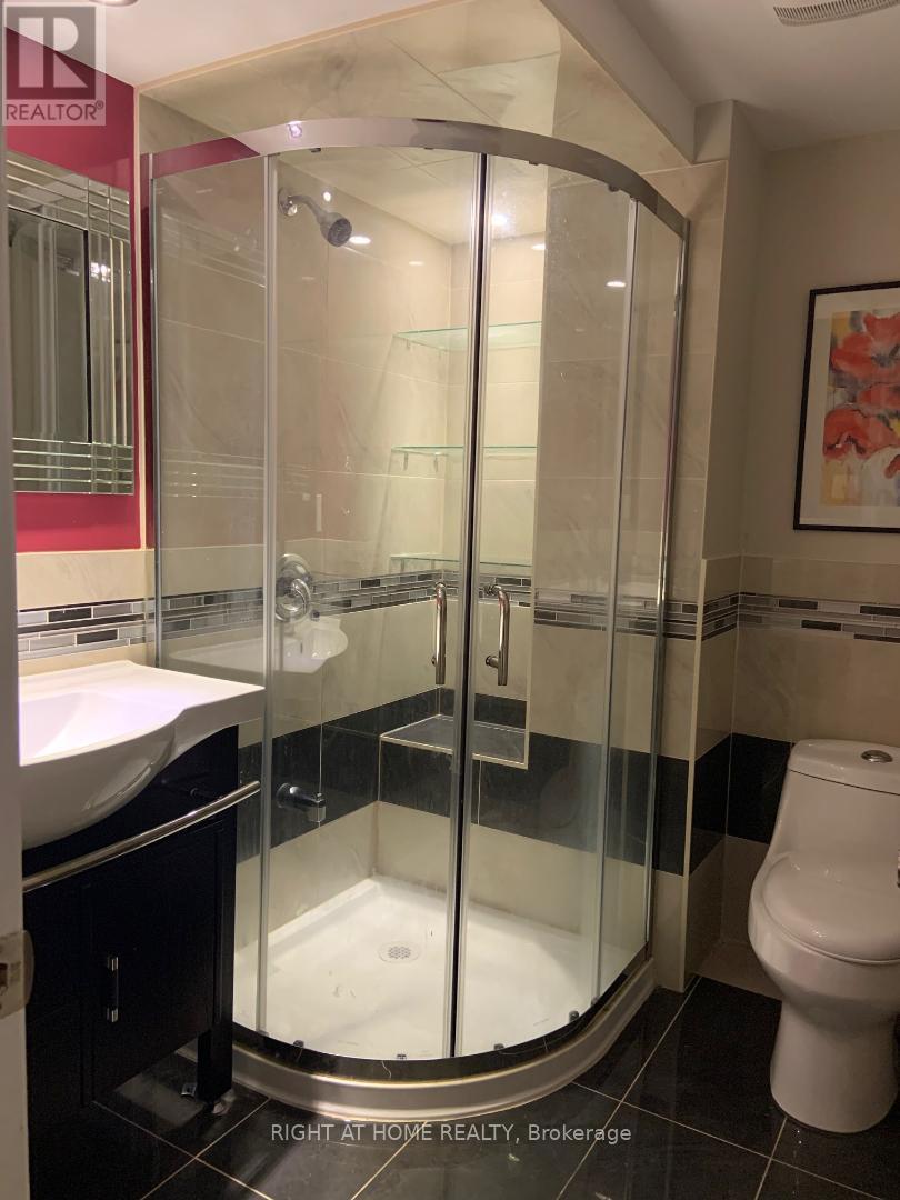 Basement - 3050 Doyle Street, Mississauga, Ontario  L5M 0M9 - Photo 15 - W12174632