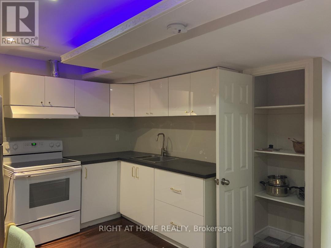 Basement - 3050 Doyle Street, Mississauga, Ontario  L5M 0M9 - Photo 7 - W12174632